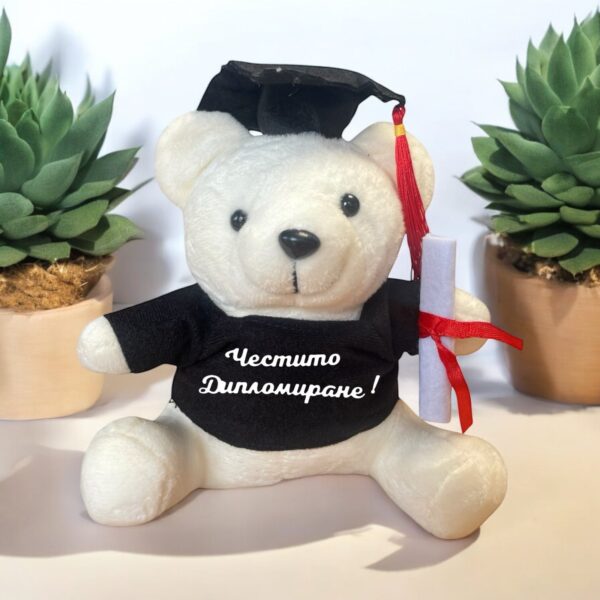Плюшено мече за дипломиране с надпис, екрю, 20 см - Image 2